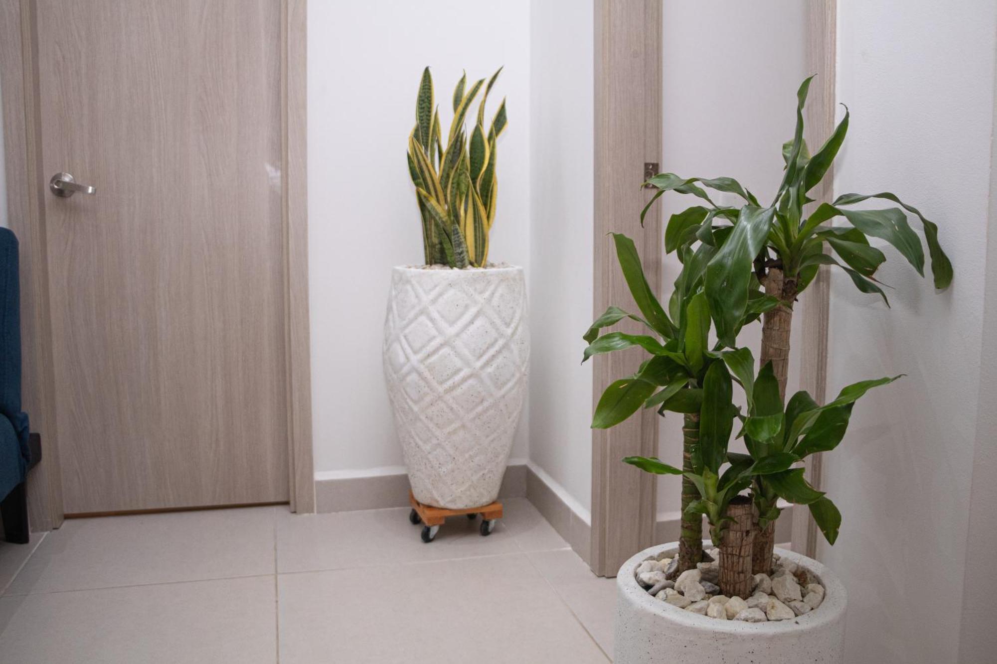 Apartamento De Lujo Frente Al Mar Con Piscina Cartagena Kültér fotó